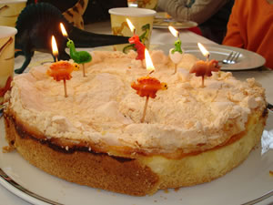 dinokuchen Dinokuchen