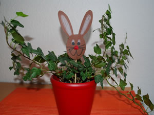 hasenkopfimtopf Hase