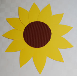 sonnenblume1 Sonnenblume