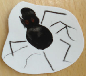 spinne4 Spinne