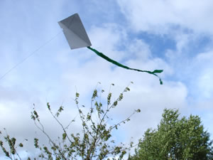 drachen02 Drachen