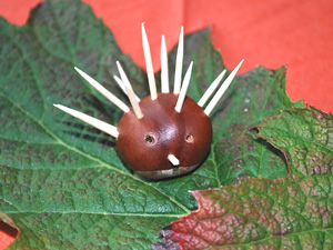kastanienigel1