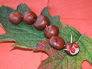 kastanienraupe1