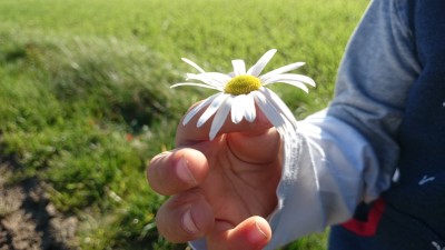 Muttertagsgeschenke