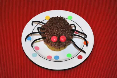 Muffin-Spinne